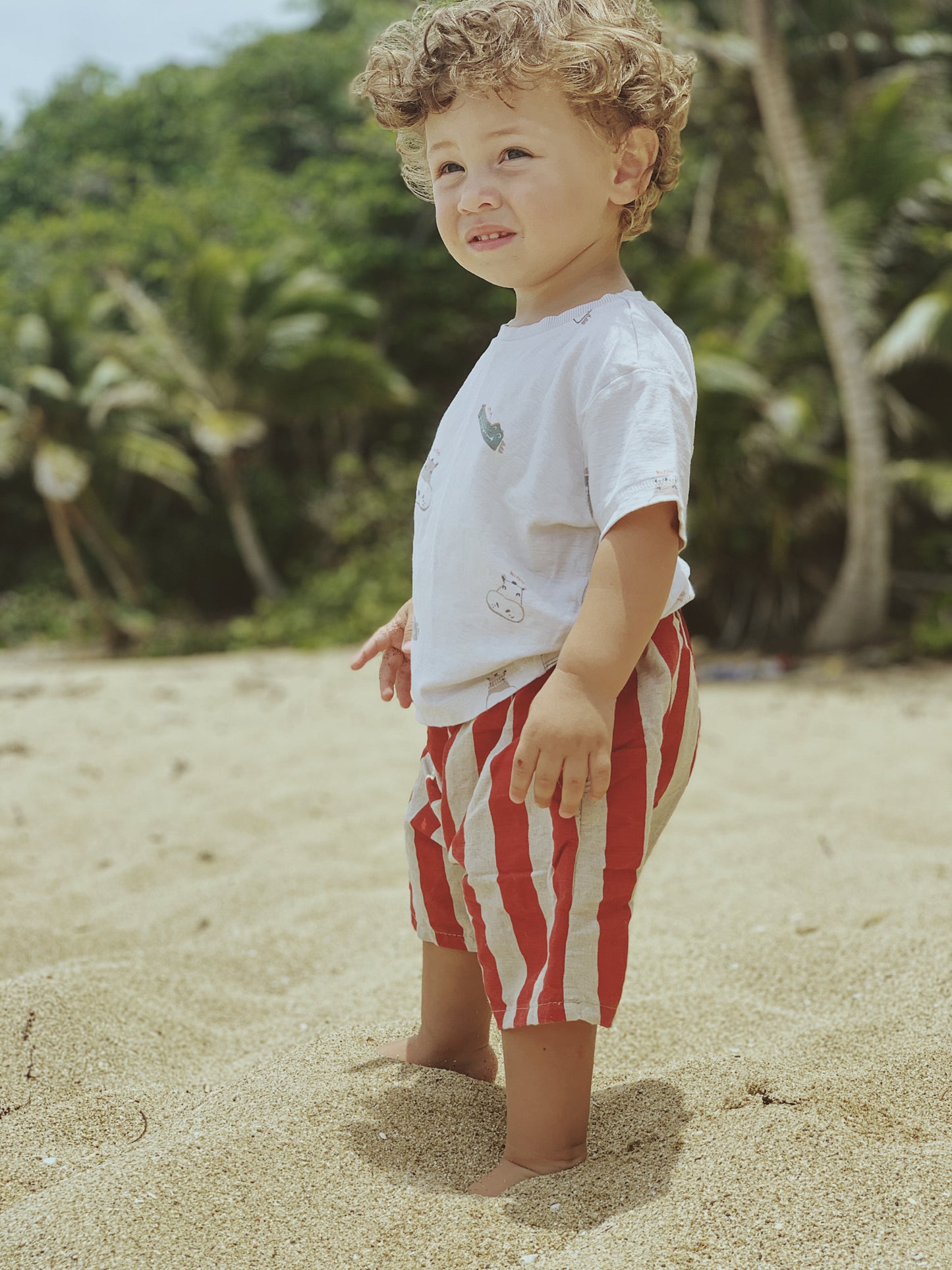 Striped Hemp Shorts