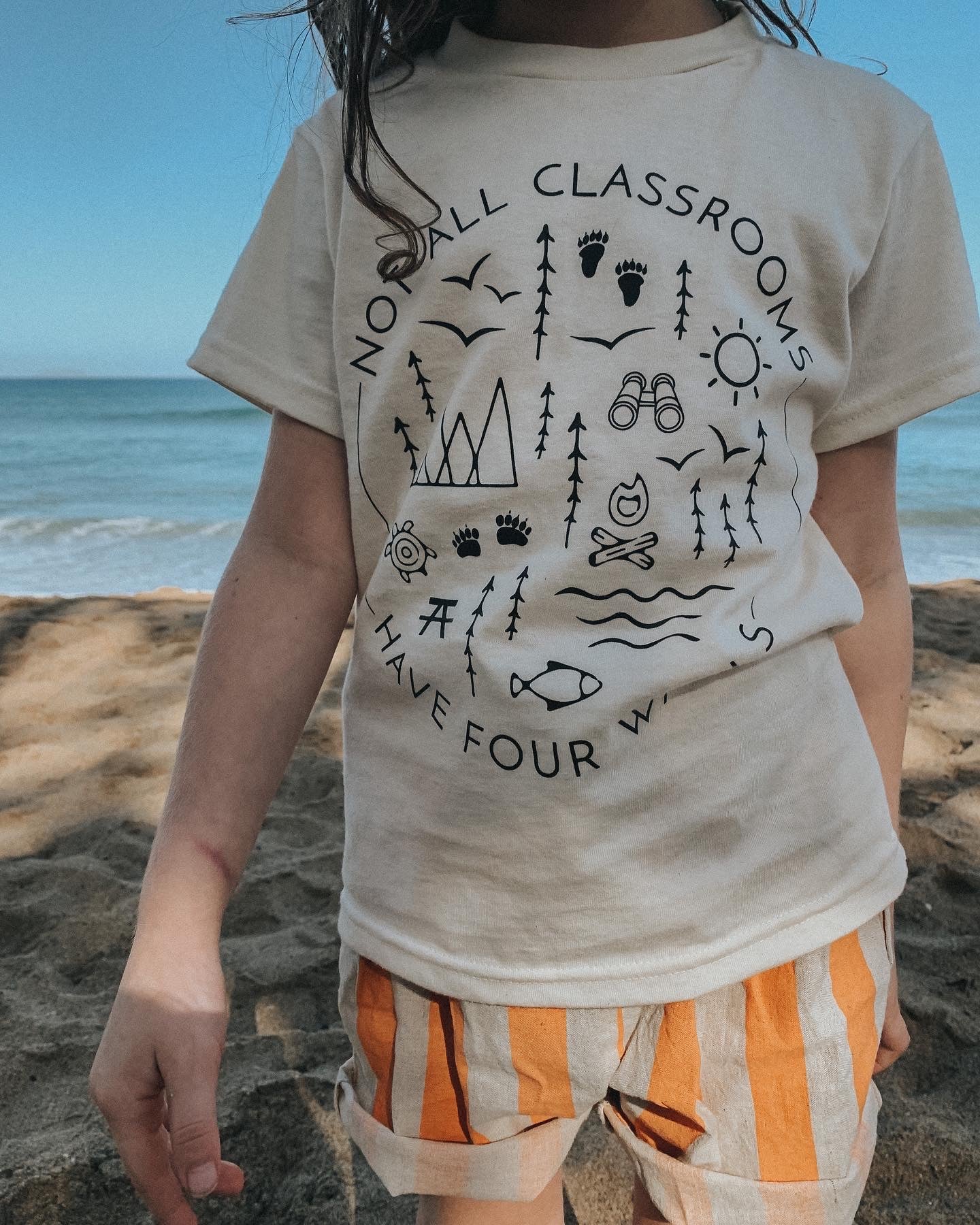 Not All Classrooms Have Four Wall Shirt